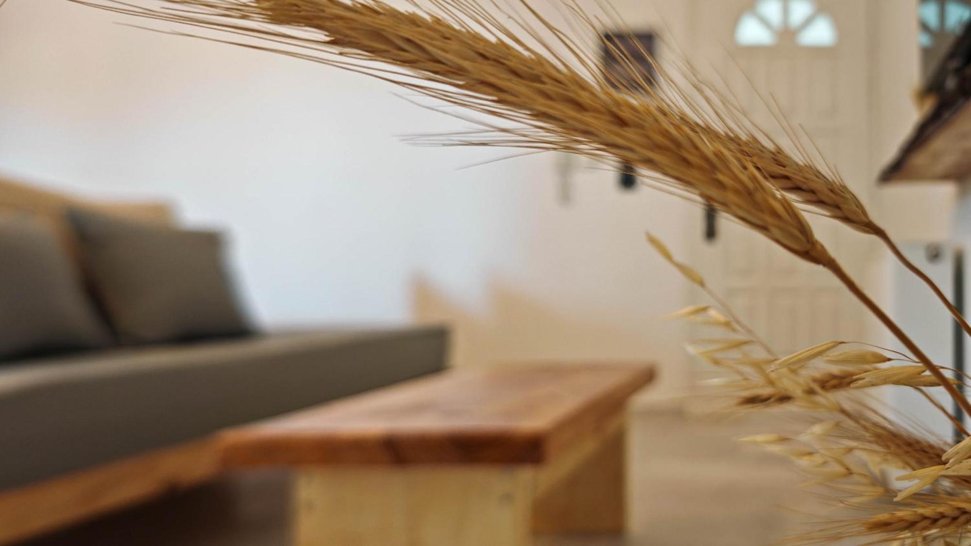 Paraga Suites Naxos City Εξωτερικό φωτογραφία
